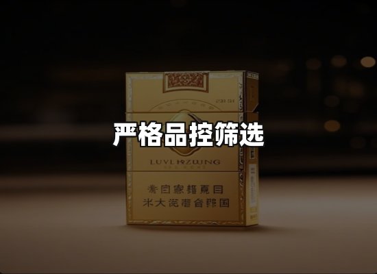 专业优势